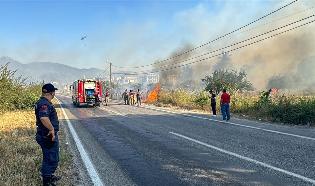 İZMIR (AA) – Çiniliköy mevkisinde, içerisinde zeytin ağaçlarının bulunduğu zirai