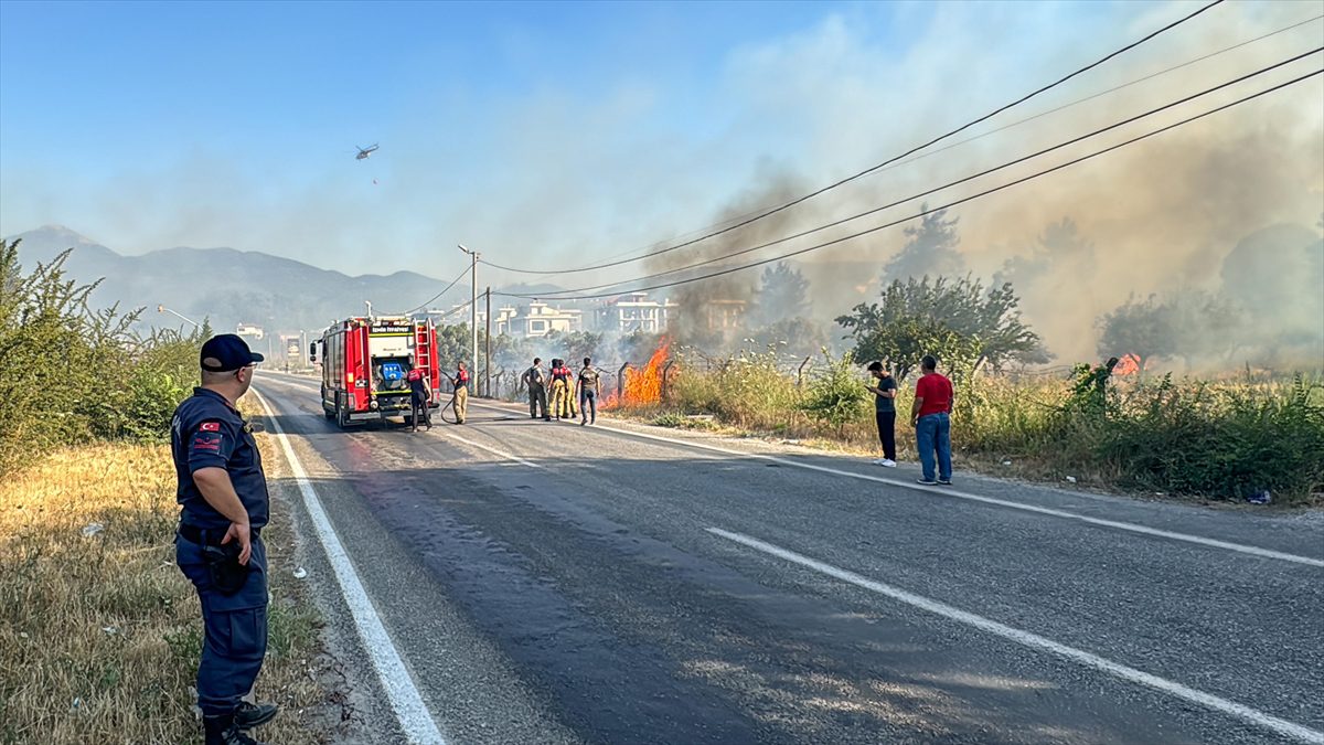İZMIR (AA) – Çiniliköy mevkisinde, içerisinde zeytin ağaçlarının bulunduğu zirai