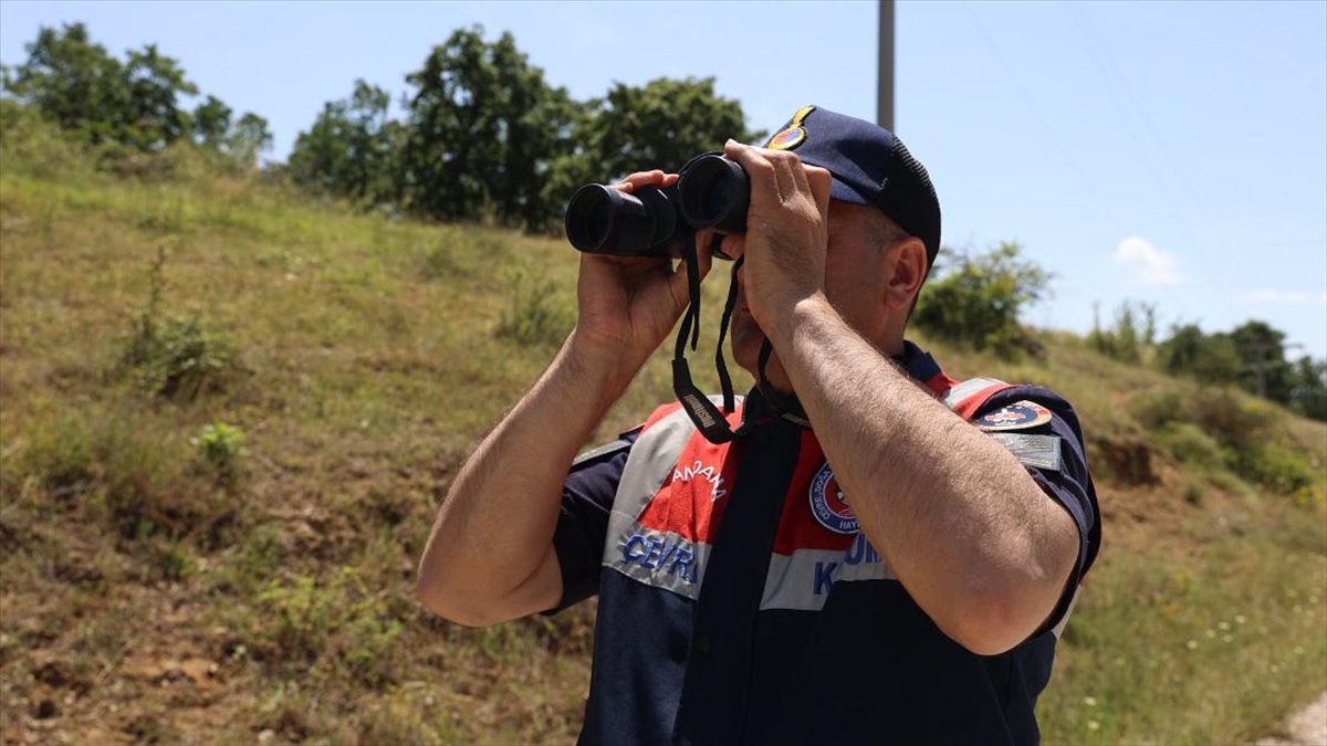 Edirne Jandarma Komutanlığı bünyesinde oluşturulan Çevre Doğa ve Hayvanları Koruma