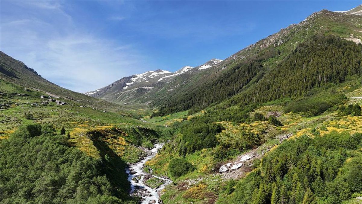 Rize'nin Çamlıhemşin ilçe sınırlarındaki Kaçkar Dağları Milli Parkı'nın yükseklerinde halen