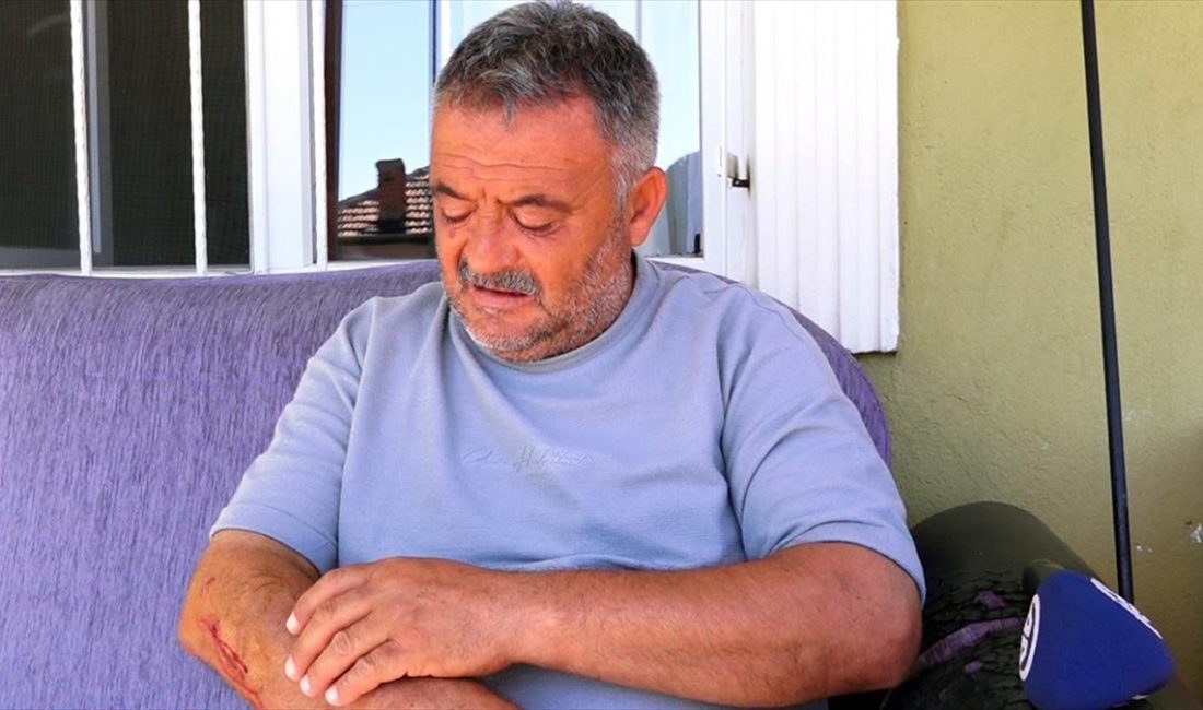 Kırıkkale'de güvercinlerini beslemek için evinin önüne çıkan kişi, sahipsiz köpeklerin
