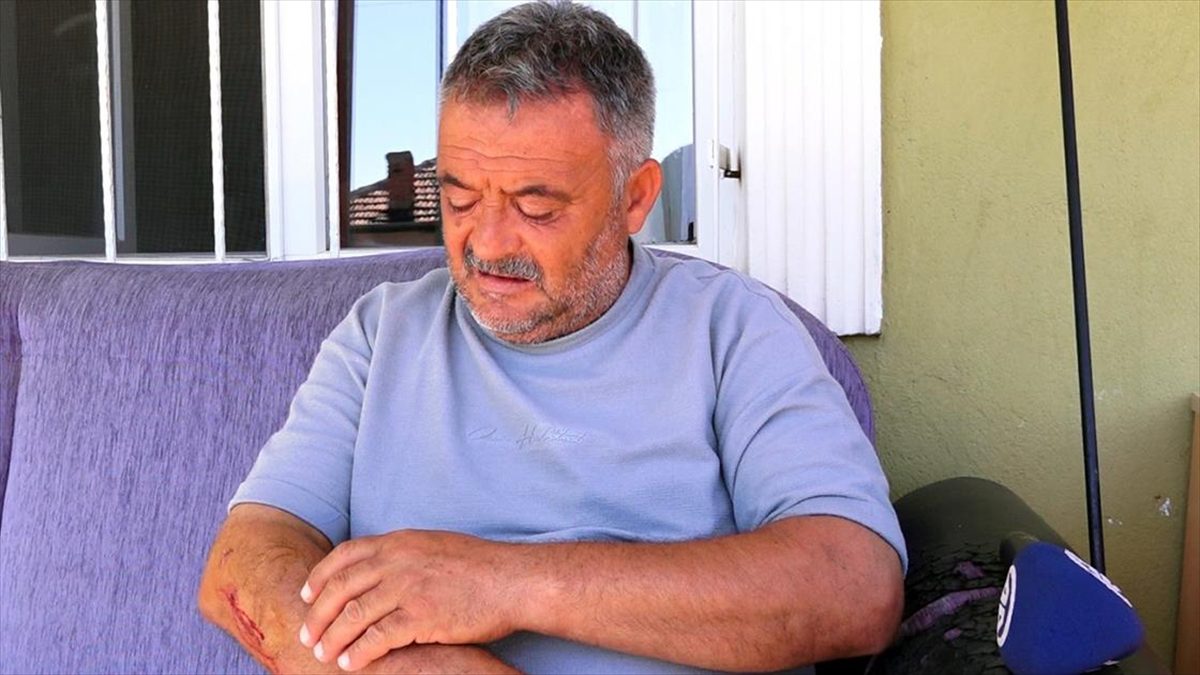 Kırıkkale'de güvercinlerini beslemek için evinin önüne çıkan kişi, sahipsiz köpeklerin