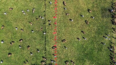 Tarihi Kırkpınar Yağlı Güreşleri'ne katılımda lig usulüyle belirleme sistemine geçilmesi