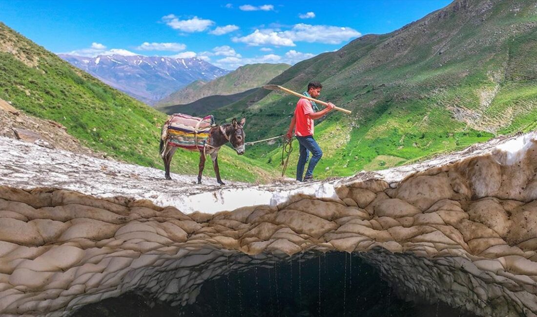 Van'ın Bahçesaray ilçesinde kışın kırsal mahallelerin yakınına düşen çığlar nedeniyle