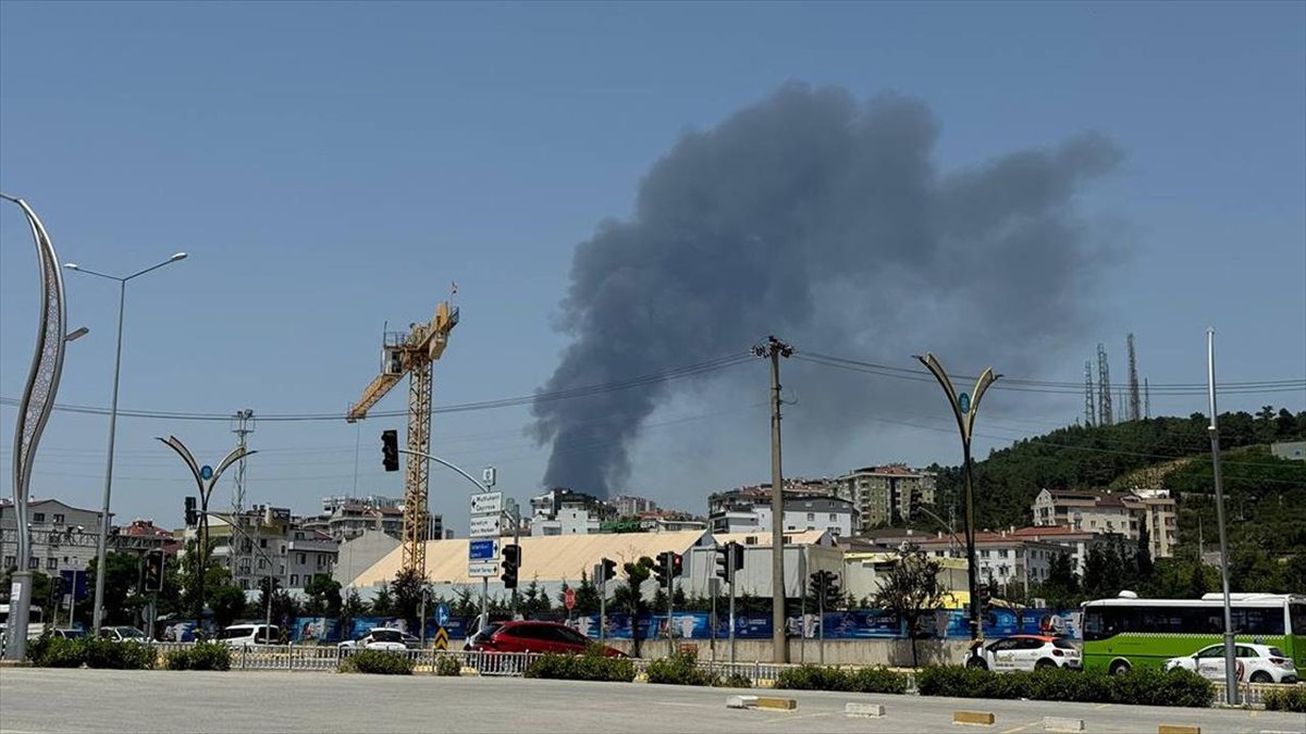 KOCAELİ (AA) – Balçık Mahallesi Organize Caddesi’ndeki bir palet fabrikasında
