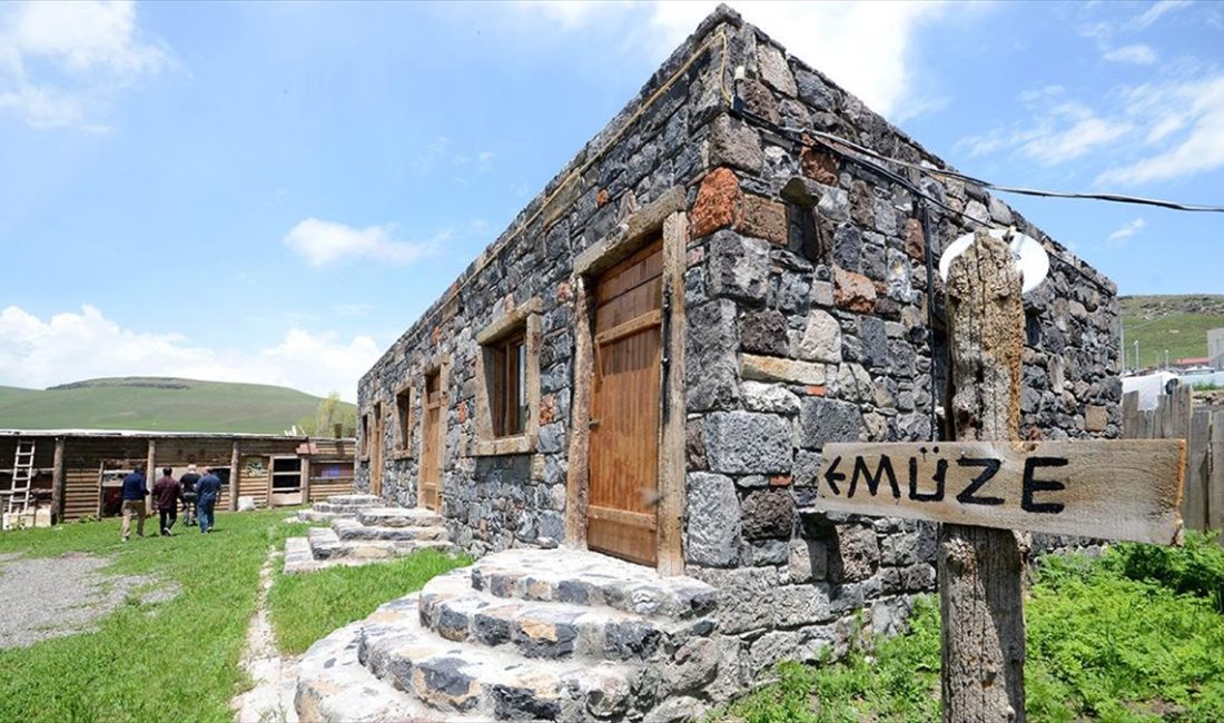 Kars'ın Selim ilçesinin Koşapınar köyünde hizmet veren Açık Hava Müzesi'nde