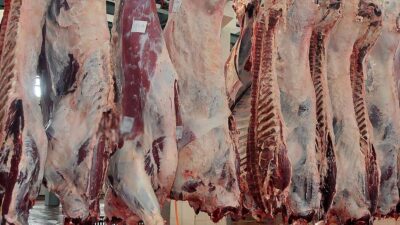 Ankara Kasaplar Odası Başkanı Fazlı Yalçındağ, kurban etlerinin bozulmaması için