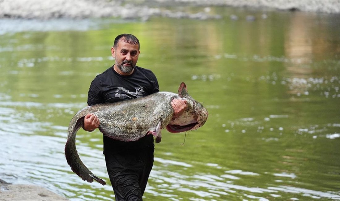 Düzce'nin Cumayeri ilçesinden geçen Melen Çayı'nda 1 metre 70 santim