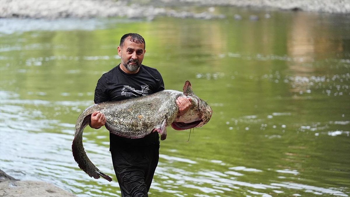 Düzce'nin Cumayeri ilçesinden geçen Melen Çayı'nda 1 metre 70 santim