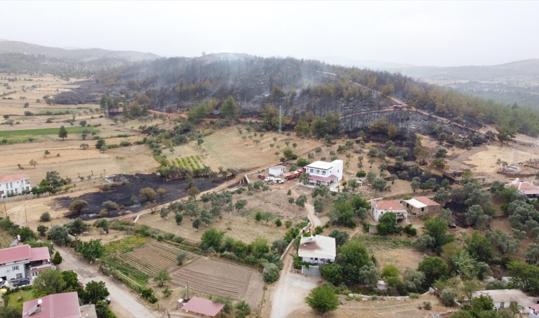 MUĞLA (AA) – Muğla’nın Milas ilçesinde çıkan orman yangını havadan