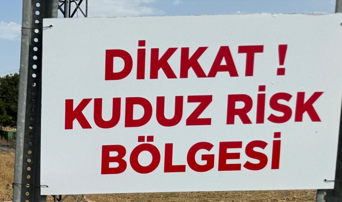 Niğde'nin Bor ilçesinde sahipsiz köpeğin bir kişiyi ısırdığı mahallede kuduz
