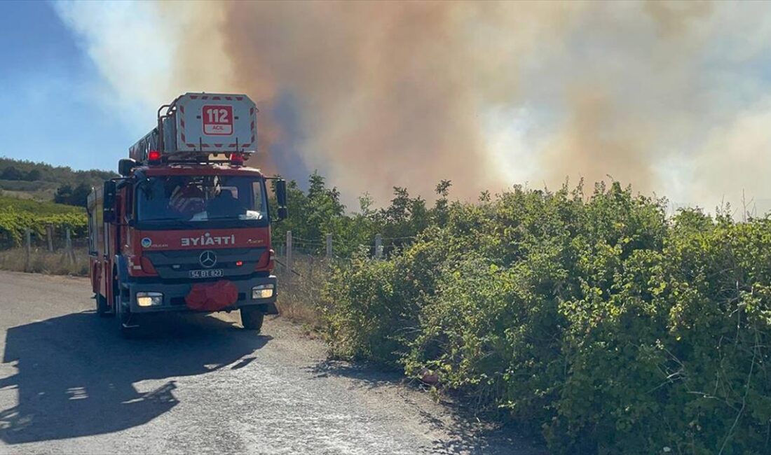 Sakarya'nın Pamukova ilçesinde ormanlık alanda çıkan yangın havadan ve karadan