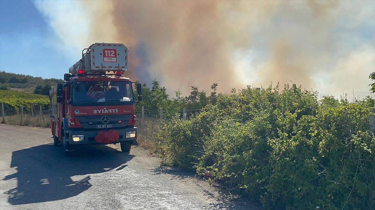 Sakarya'nın Pamukova ilçesinde ormanlık alanda çıkan yangın havadan ve karadan