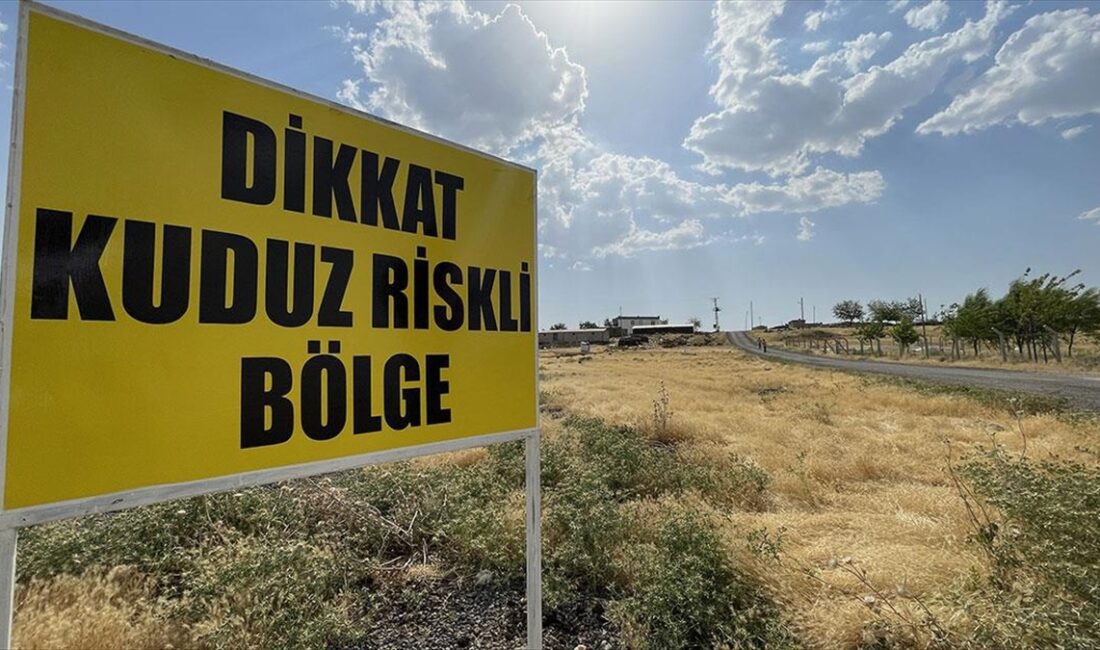 Şanlıurfa'nın Siverek ilçesinde sahipsiz köpekte kuduza rastlanması üzerine bir mahalle