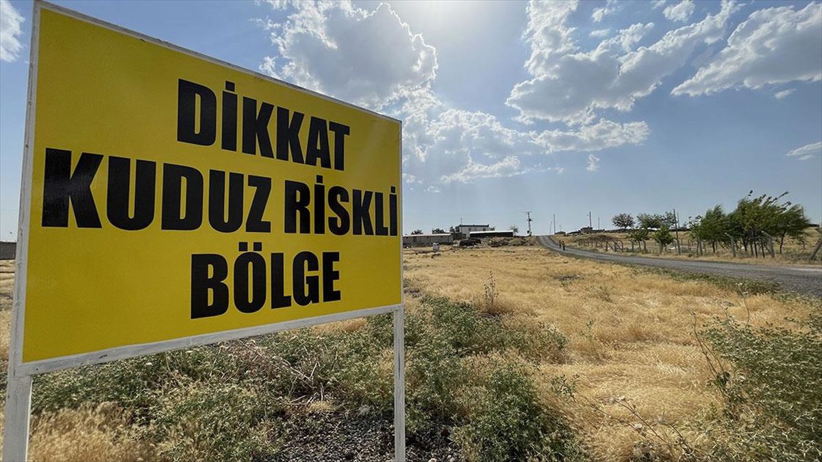 Şanlıurfa'nın Siverek ilçesinde sahipsiz köpekte kuduza rastlanması üzerine bir mahalle