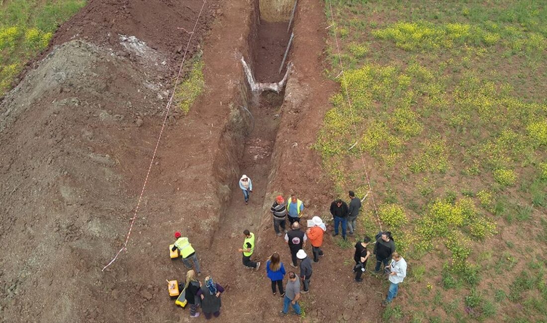 AFAD Deprem Danışma Kurulu Üyesi ve Sivas Cumhuriyet Üniversitesi Jeoloji