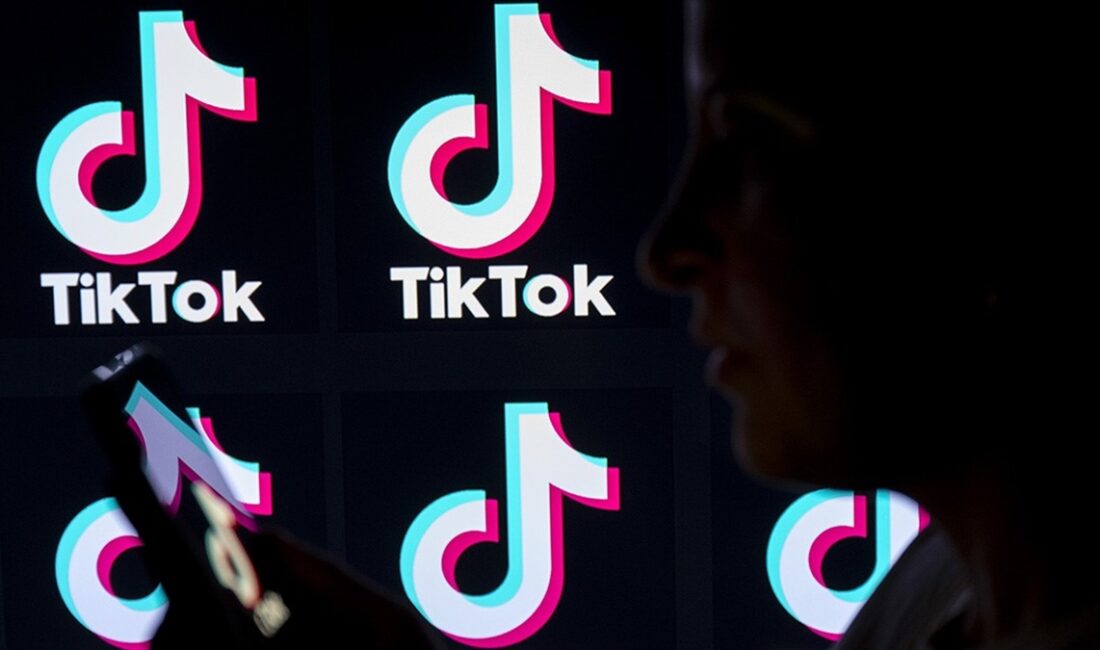 TikTok Orta Doğu, Kuzey Afrika, Türkiye Bölgesi Kamu Politikaları Yöneticisi