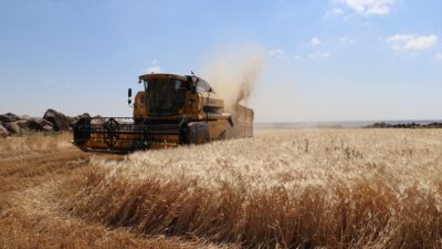 ANKARA (AA) – TMO’nun sosyal medya hesabından hububat alım &ouml;demelerine