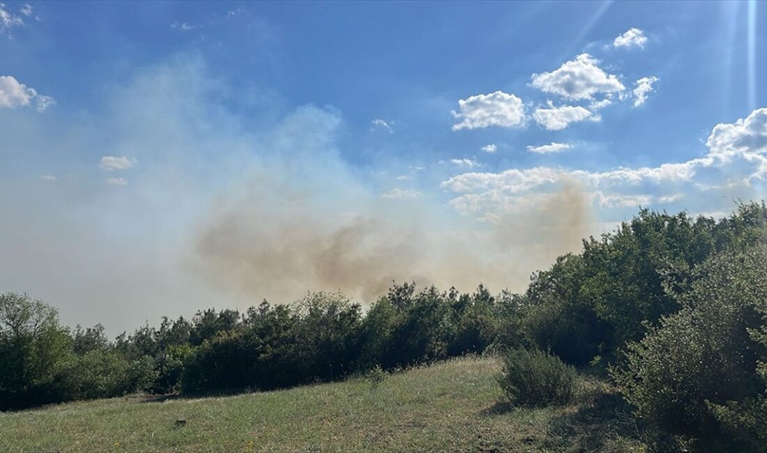 Tokat'ın Niksar ilçesinde ormanlık alanda çıkan yangına müdahale ediliyor.
