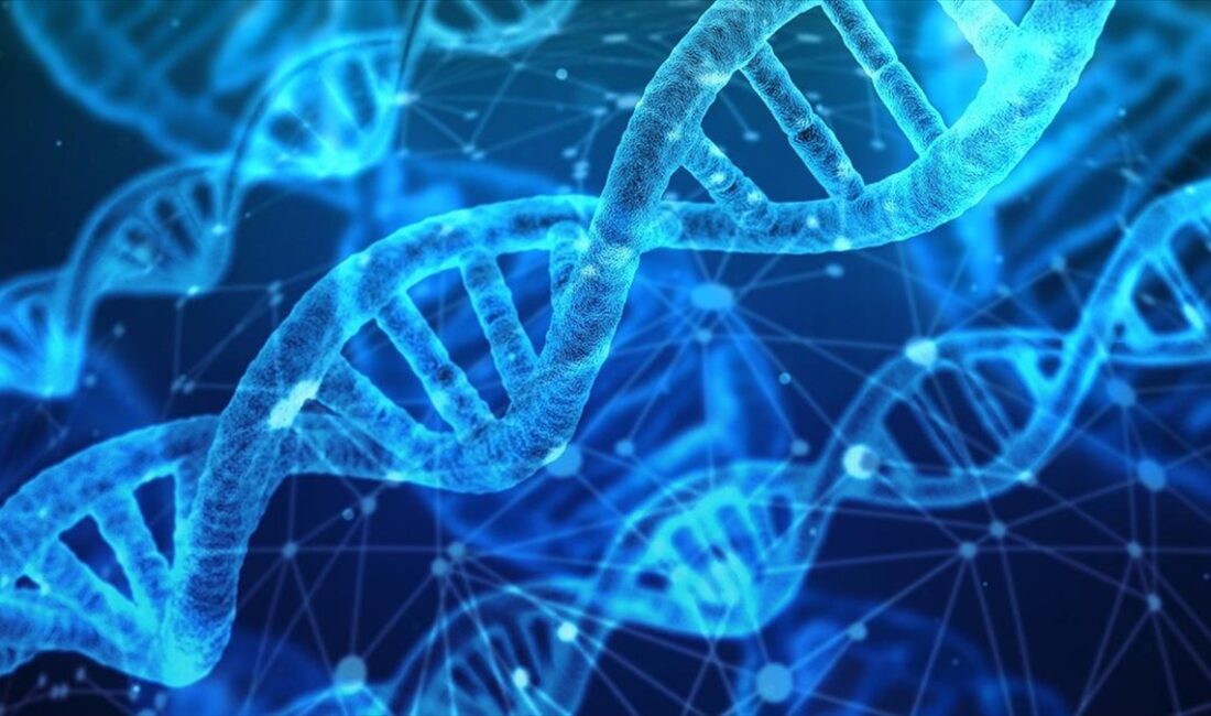 Prostat kanseriyle bağlantılı DNA'daki genetik farklılıkları saptayan tükürük testinden, keşfedilen