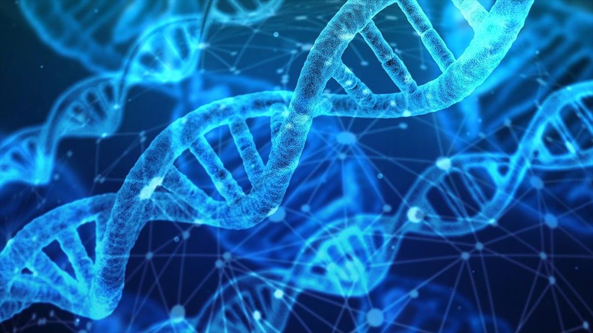 Prostat kanseriyle bağlantılı DNA'daki genetik farklılıkları saptayan tükürük testinden, keşfedilen