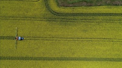 Tarım ve Orman Bakanı İbrahim Yumaklı, fındık, kuru kayısı, kuru