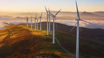 Birleşmiş Milletler Ticaret ve Kalkınma Konferansı Yatırım ve İşletme Bölümünden