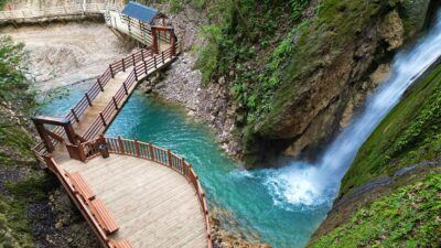 Tarım ve Orman Bakanlığına bağlı Orman Genel Müdürlüğü (OGM) tarafından