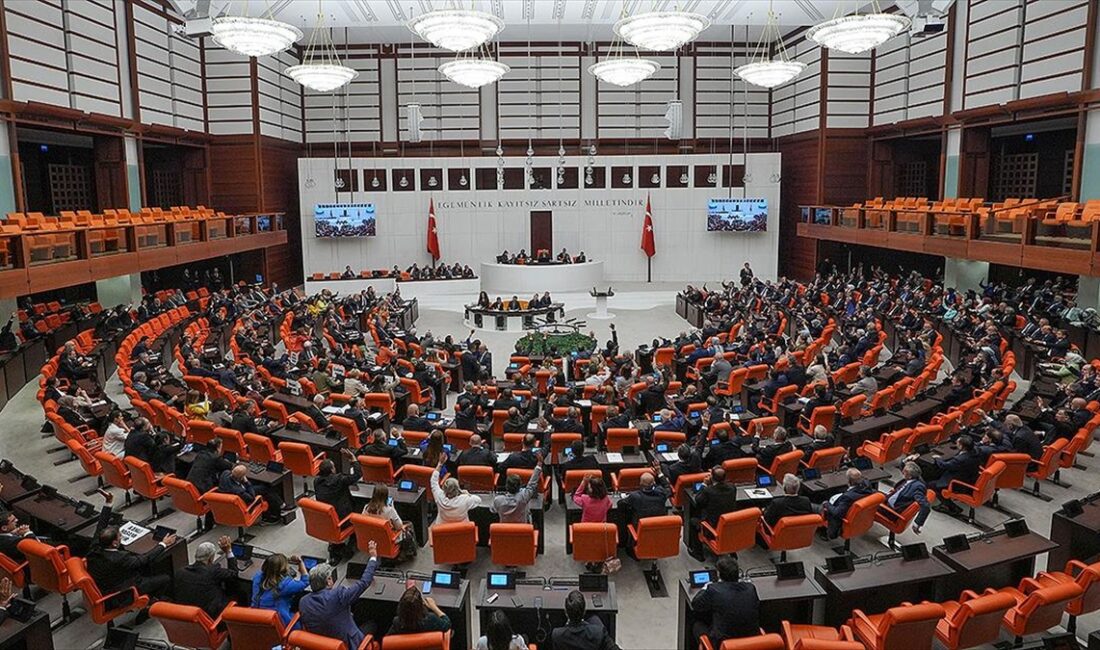 Meclis'te kabul edilen yasayla sahipsiz köpekler, belediyeler tarafından hayvan bakımevine
