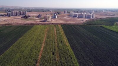 Türkiye’nin tarım alanlarının imara açılması ve şehirleşmenin artan cazibesi, kırsal