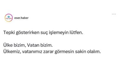 Haklı serzenişimizi, ülkemize zarar verecek boyuta taşımamak gerek. • Yakmak,