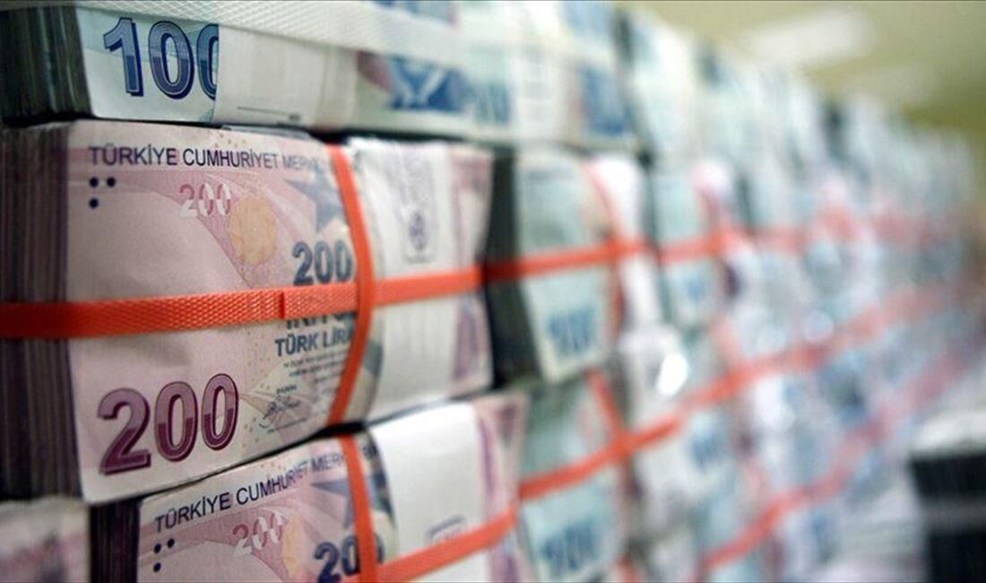 Dünyanın en büyük ikinci varlık yönetim şirketi Vanguard'ın Gelişmekte Olan