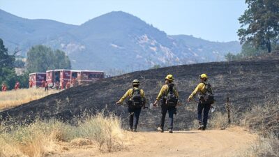ABD'nin California eyaletinin güneyindeki Riverside County bölgesinde çıkan orman yangınlarının