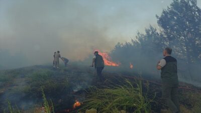 Adana'nın Kozan ilçesinde çıkan orman yangını, havadan ve karadan müdahaleyle