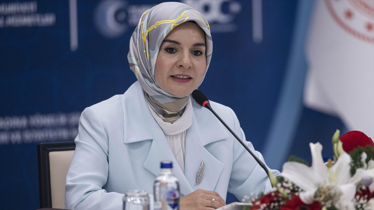 Aile ve Sosyal Hizmetler Bakanı Göktaş, "Nasıl her ailenin bir