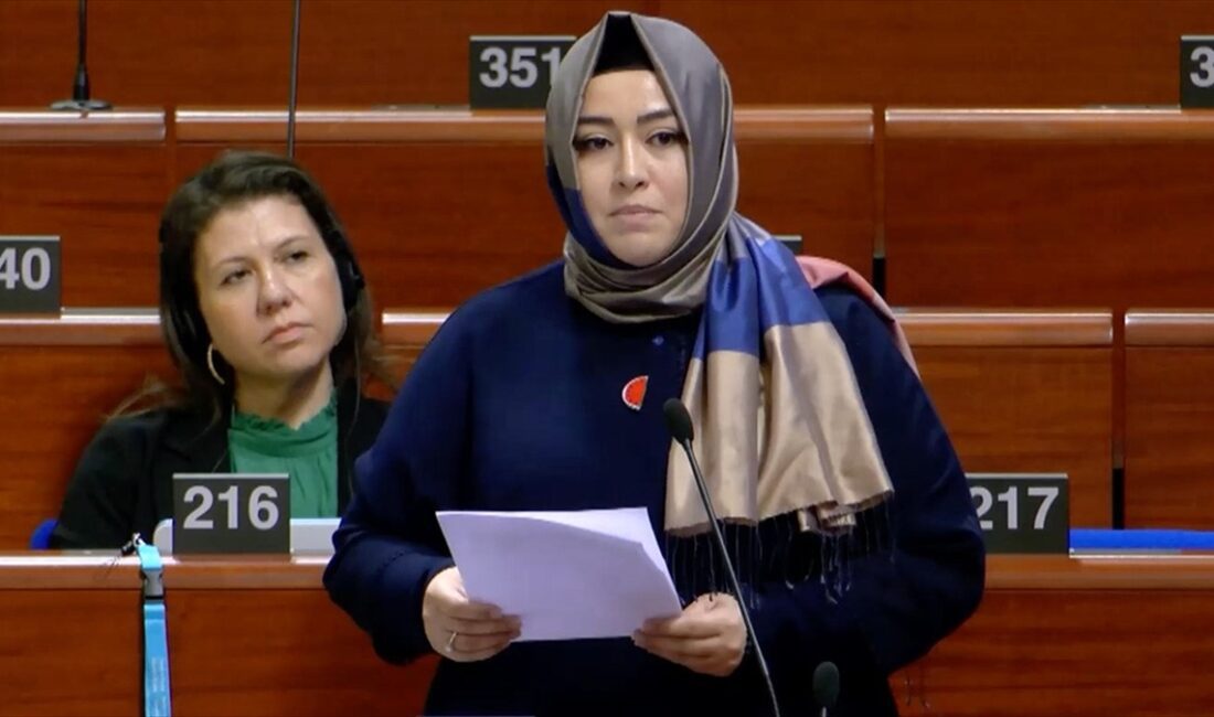 ANKARA (AA) – Kanat, Fransa’nın Strazburg kentinde düzenlenen Avrupa Konseyi