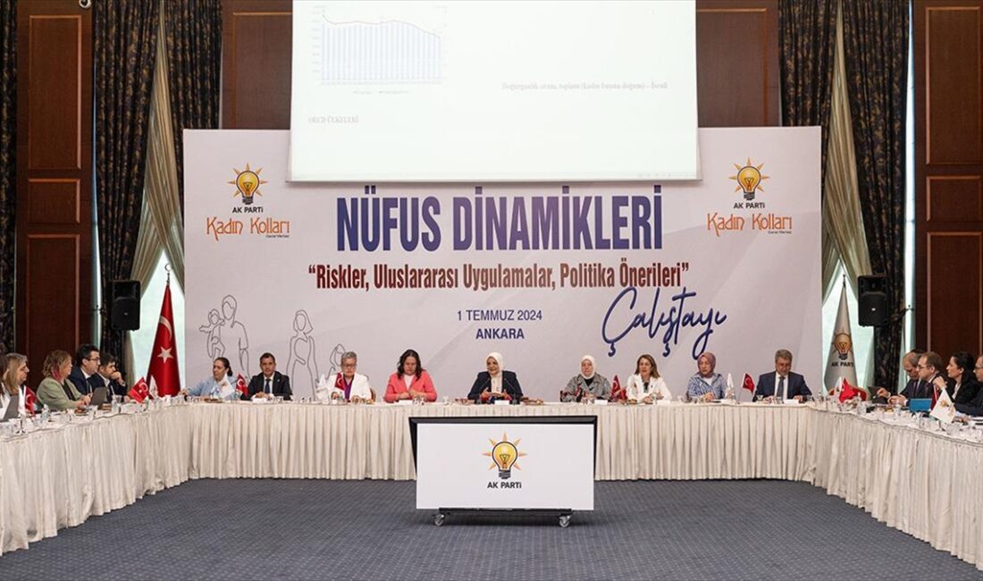 AK Parti Genel Merkez Kadın Kolları Başkanı Ayşe Keşir, Türkiye'nin