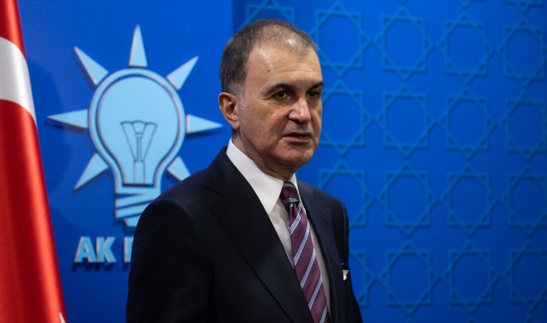 AK Parti Genel Başkan Yardımcısı ve Parti Sözcüsü Çelik, "CHP