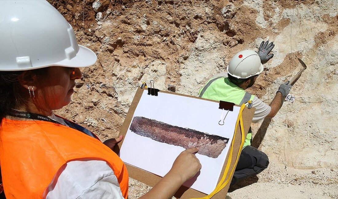 İçişleri Bakanlığı, Enerji ve Tabii Kaynaklar Bakanlığı ve Sanayi ve
