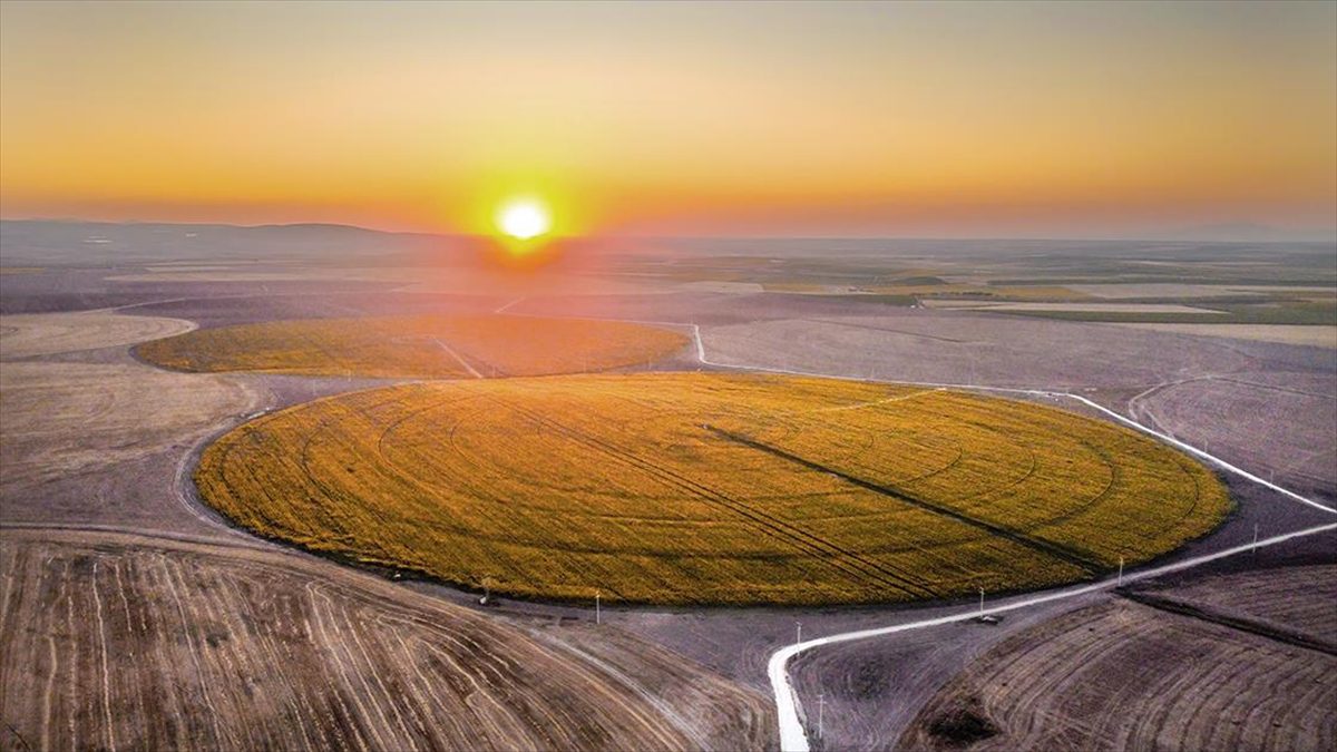 Tarım ve Orman Bakanlığına bağlı Tarım İşletmeleri Genel Müdürlüğü (TİGEM)