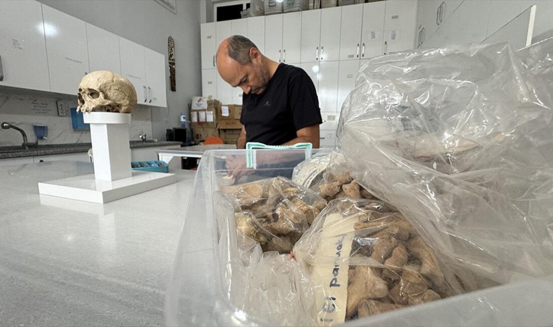 Hitit Üniversitesinin arkeoloji, antropoloji ve sanat tarihi bölümlerinden akademisyenler, farklı