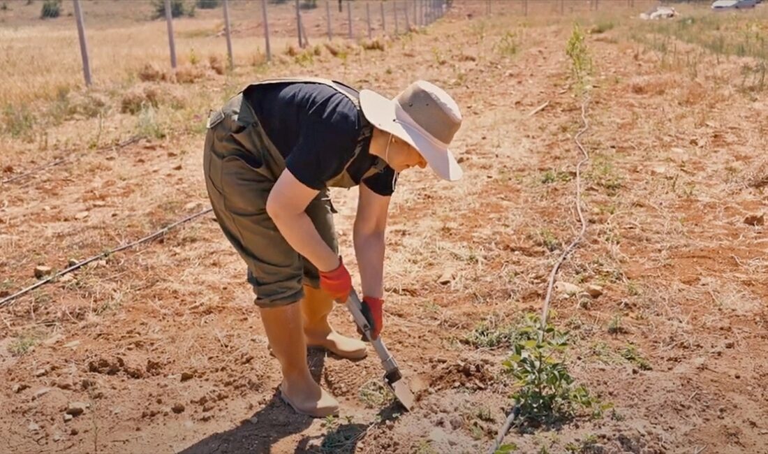 - Korkuteli ilçesinde Atıksu Arıtma Tesisi deşarjından elde edilen su,