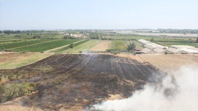 ANTALYA (AA) – Antalya'nın Serik ilçesinde çıkan yangında zeytin ve