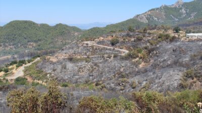 ANTALYA (AA) – Antalya'nın Serik ilçesinde ormanlık alanda dün çıkan