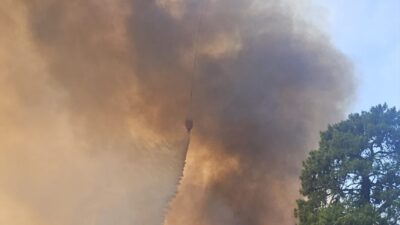 ANTALYA (AA) – Antalya’da ormanlık alanda yangın çıktı. Antalya’nın Serik