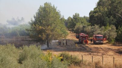 ANTALYA (AA) – Antalya'nın Serik ilçesinde otluk alanda çıkan, ormana