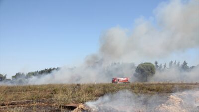 Antalya 'nın Serik ilçesinde otluk alanda çıkıp ormanlık alan ile