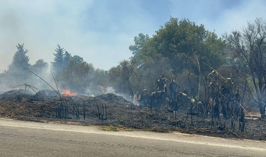  Antalya'da Yangına, 3 helikopter, 2 uçak, 4 arazöz ve