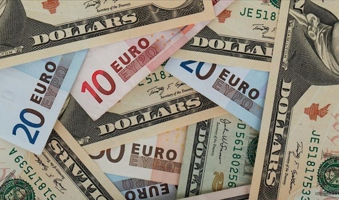 Avrupa Birliğine (AB) üye 20 ülkenin tek para birimi olan