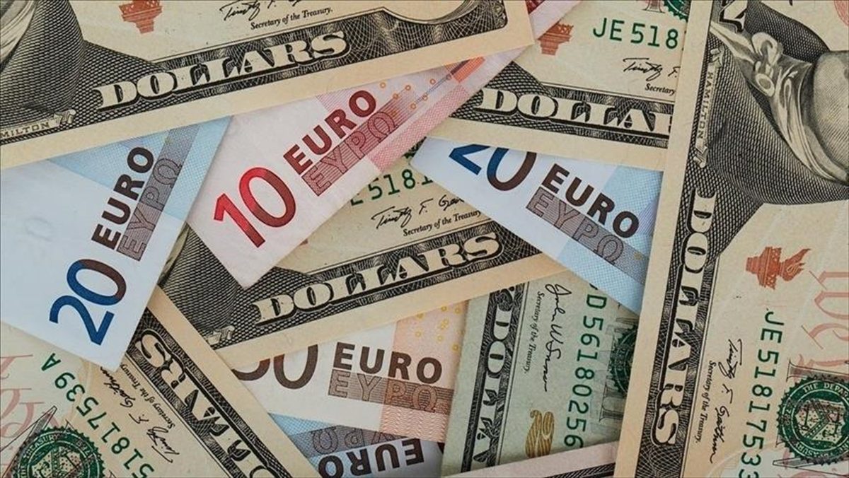 Avrupa Birliğine (AB) üye 20 ülkenin tek para birimi olan